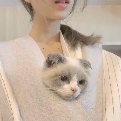 ɰȳ
