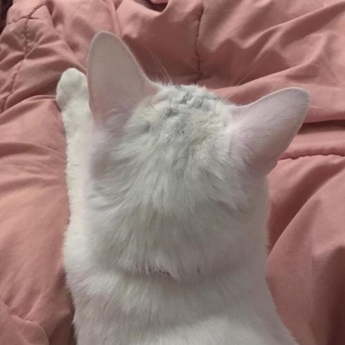 ɰȳ