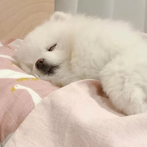 ɰȳ