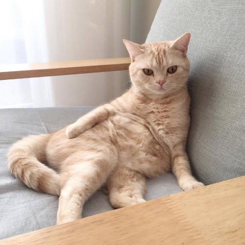 ȵͷͼƬɰ