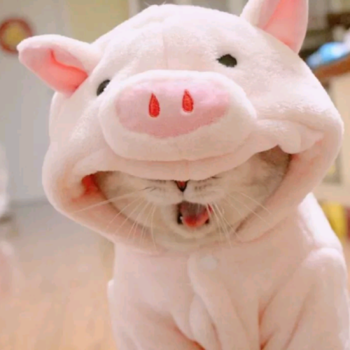 ȵͷͼƬɰ