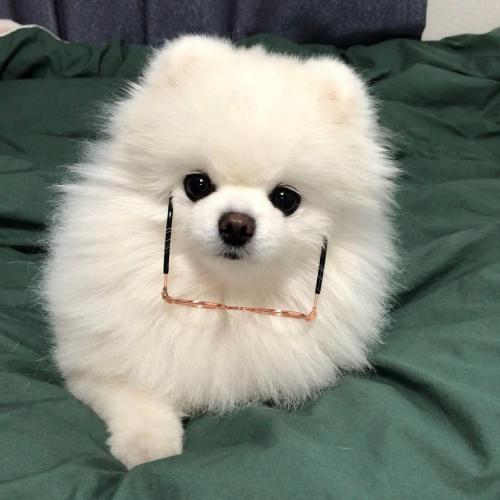 ȵͷͼƬɰ