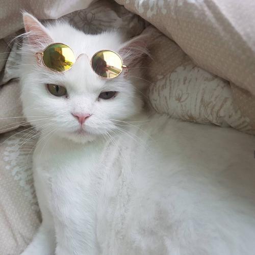 ȵͷͼƬɰ