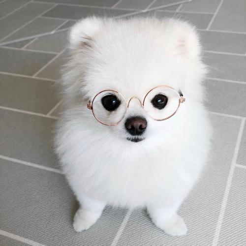 ȵͷͼƬɰ