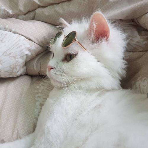ȵͷͼƬɰ