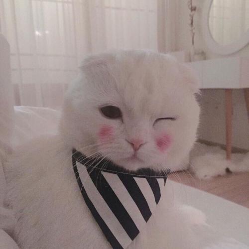 ȵͷͼƬɰ