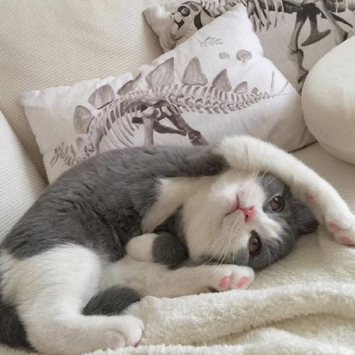 ȵͷͼƬɰ