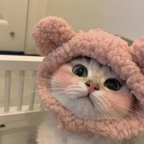 ȳqqͷȫɰƤɰ