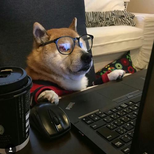 ȳqqͷȫɰƤɰ