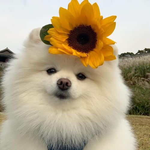 ȳqqͷȫɰƤɰ