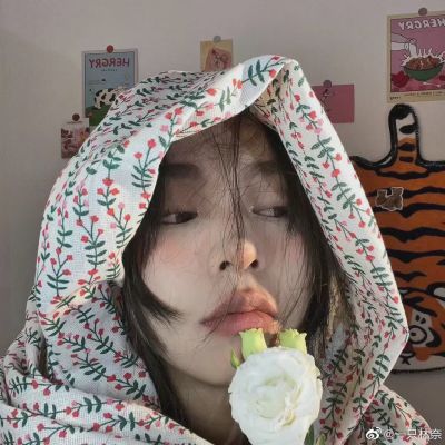 ins߼ʸŮͷ