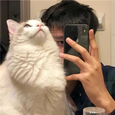 ɾͷ