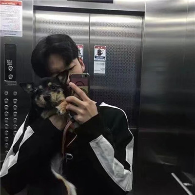 ˧ͷͼƬ˸