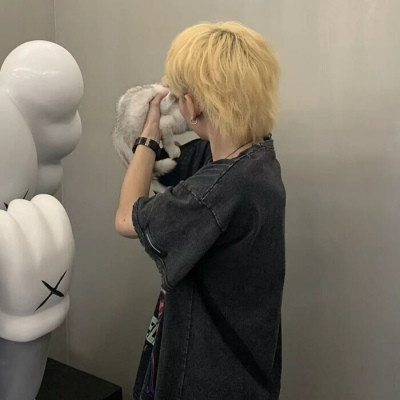 insͷ