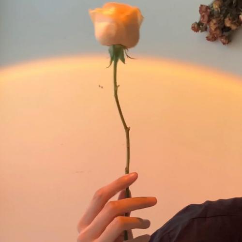 ͷ˰