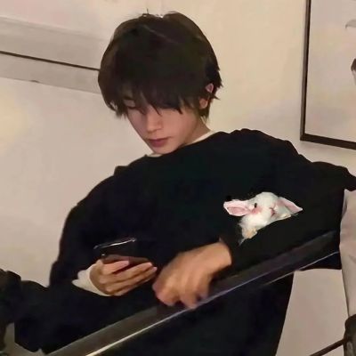 insͷϵϵ