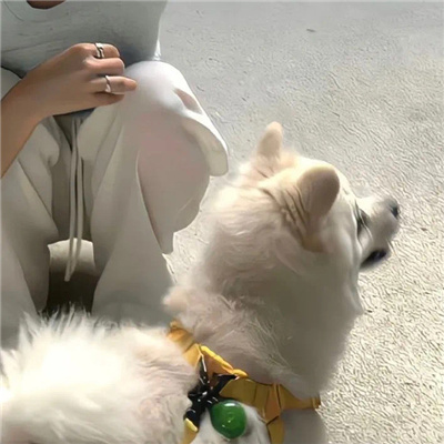 ͷŮŷֿ