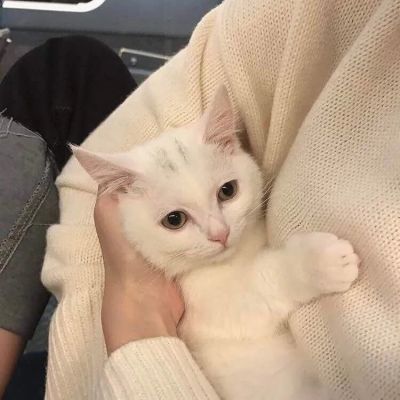 ͷΨ⾳