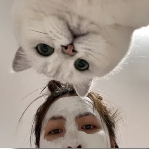 ͷ