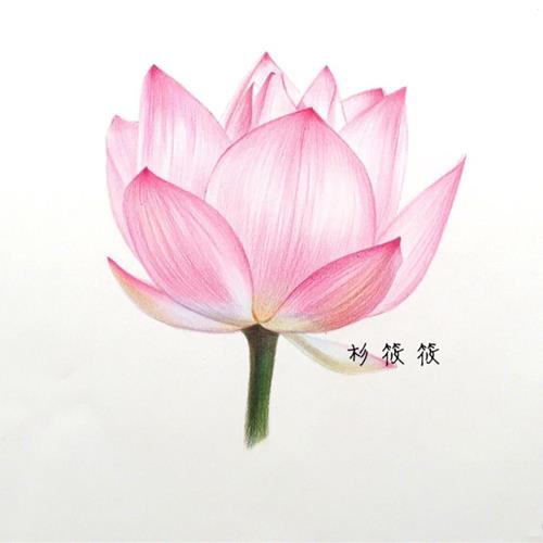 쿴50΢ͷɻ