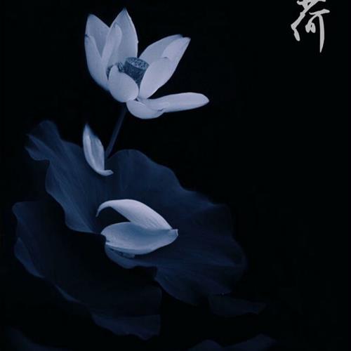 쿴50΢ͷɻ