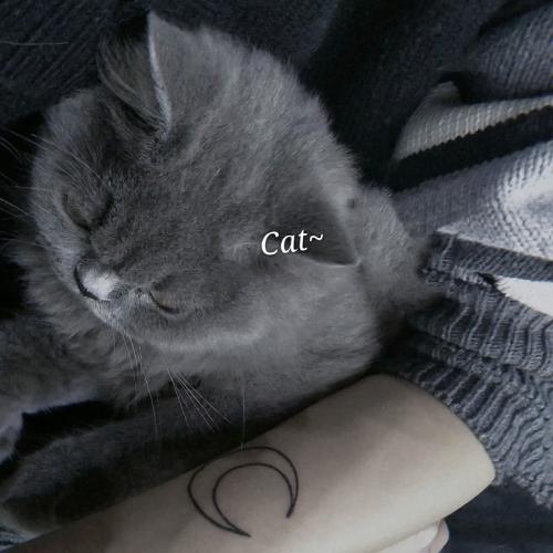 ÿͷˣɢһ޷ӵ