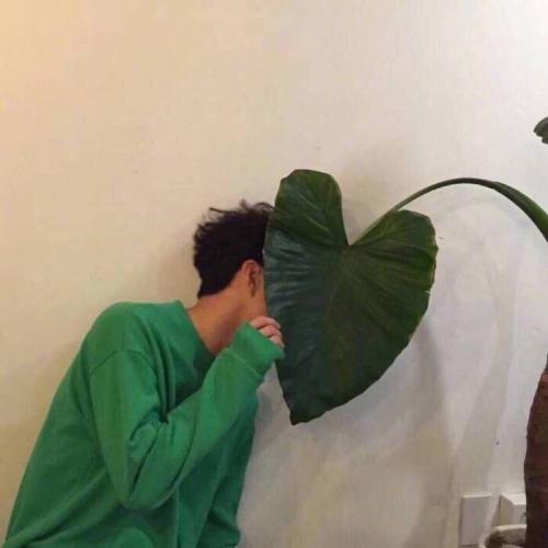 ͼƬΨͷ