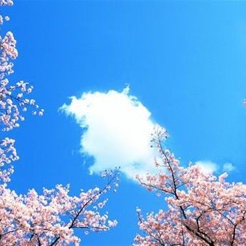 һ޶ķ羰ͷ
