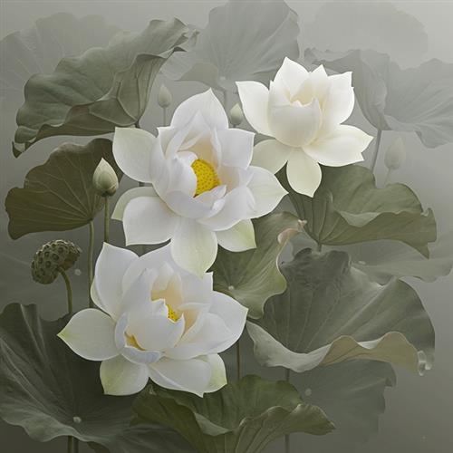 һ޶ͷ