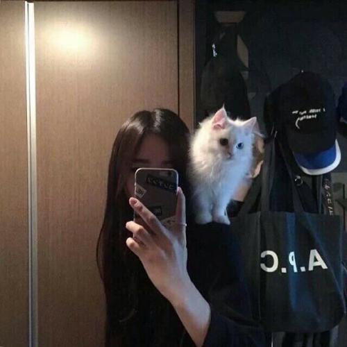 ÿŮͷ Ůˣ˶ȰͶδڴ