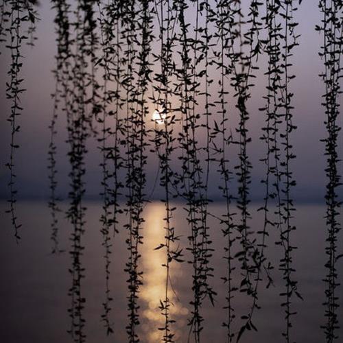 ΢ŷ羰ͷͼƬ羰