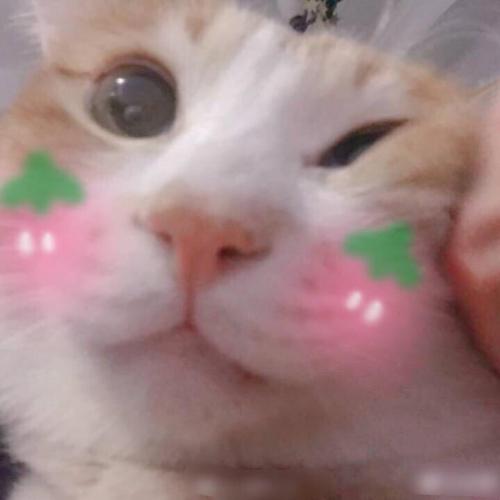 ͨͼƬһ