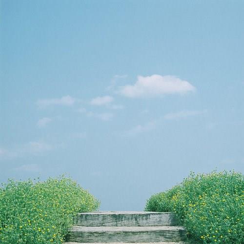 ˸ܵĵط