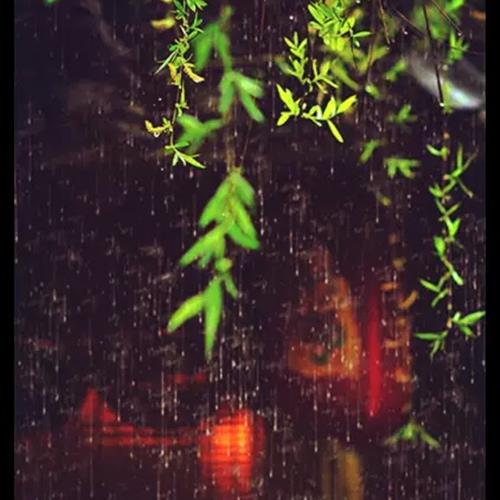 ΢ŷ羰ͷͼƬȻ羰