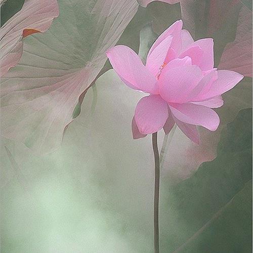 澳ɻͷ׿֮