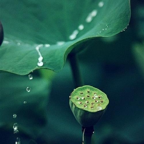 澳ɻͷ׿֮