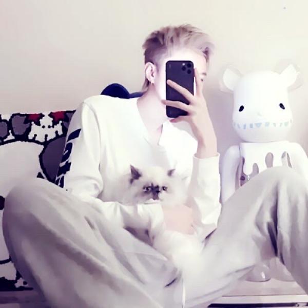 ͷͼƬһһŮţÿͼƬչʾһ۵