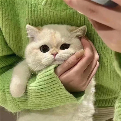 ɰŮͷ˺ÿ
