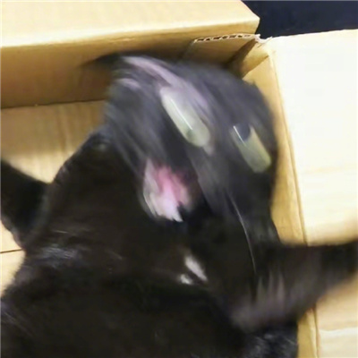 ԾܾĳСèͷ