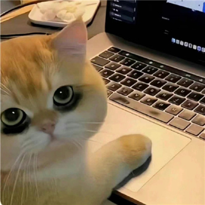 ҵ΢ͷɰȰ