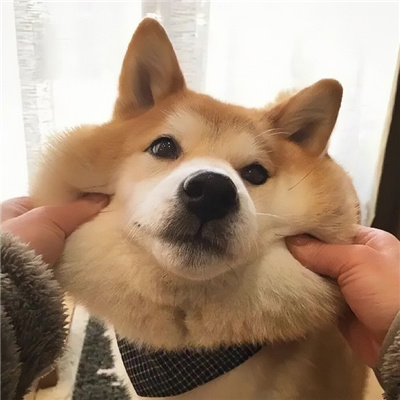 ɰèͷcp