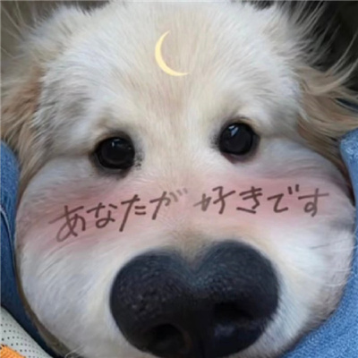ɰèͷcp