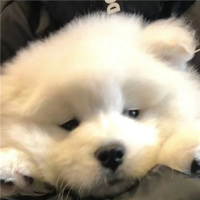 þõͷر