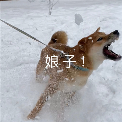̫ͷһԴȫ