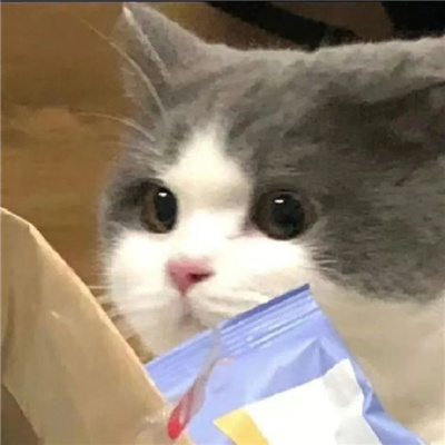 ޵ʺܳڵĿɰͷϼ
