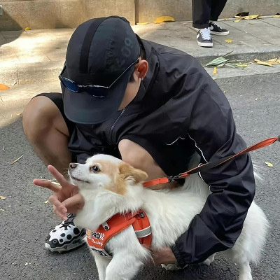 ͷϼ