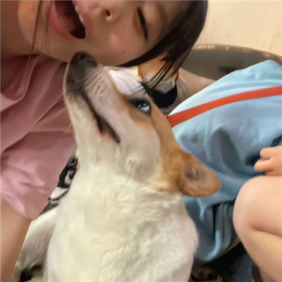 ӵͷins