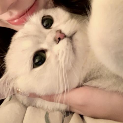 ͷ񣬻õĹ껪Զǵ