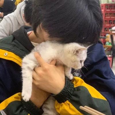 ͷ˸ͷԣĶĸЩ˧ͷ