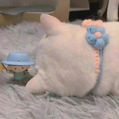 ɰִȵͷһһ ҵ